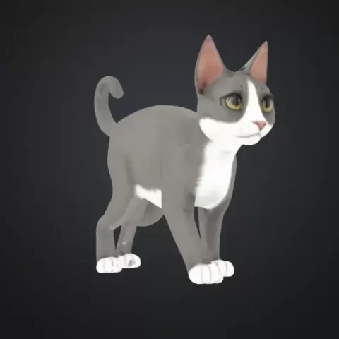 Cat - Makecoeur