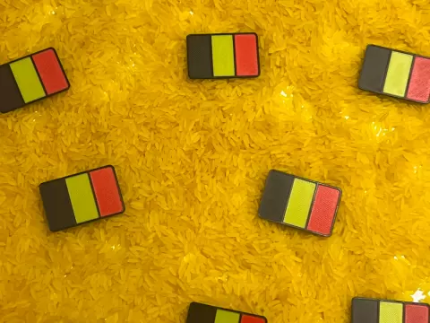 vlag belgie