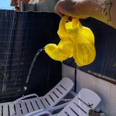watering penis watering can plants item and potted plant pot derriper thunder - mother's day price