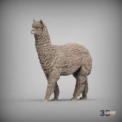 Alpaca is coming by Alexander3dart