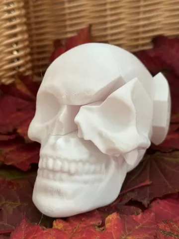 Skull Puzzle
