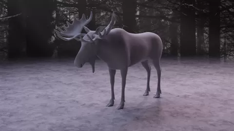 Moose - JDavies3D
