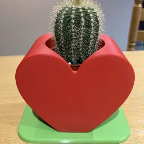 Cactus heart pot