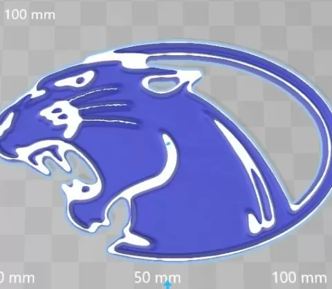 York College Panthers token