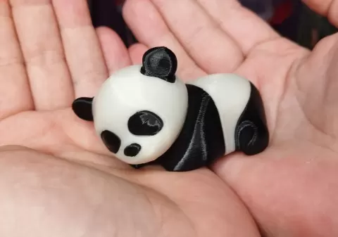 Single Extruder - Dual Color - Panda