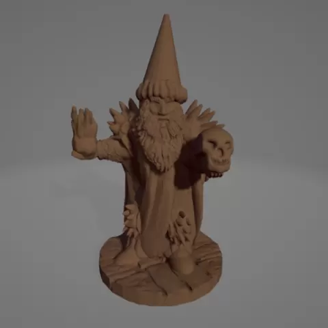 Pointy Hat Necromancer