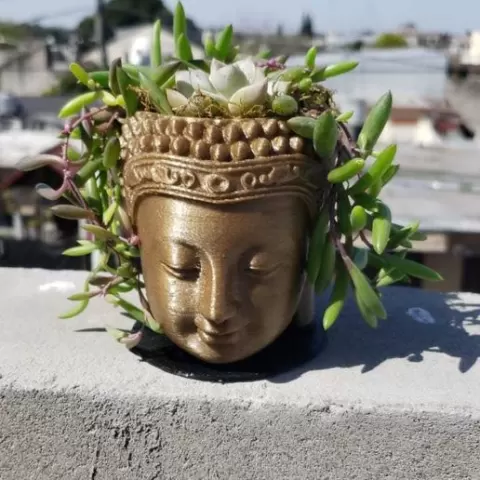 Buddha pot