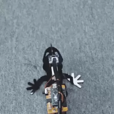 ARDUINO ROBOTIC LIZARD DIY