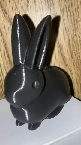 Bunny