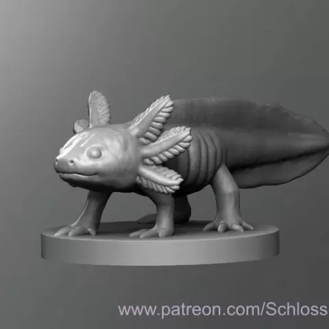 Axolotl