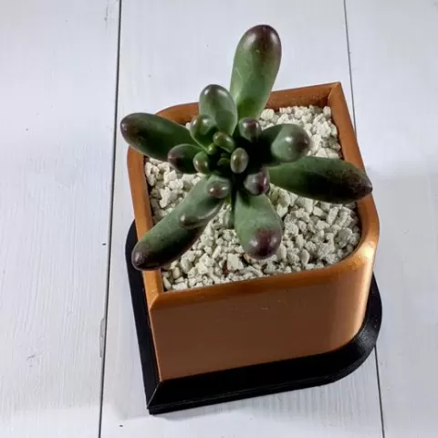 Teardrop Planter
