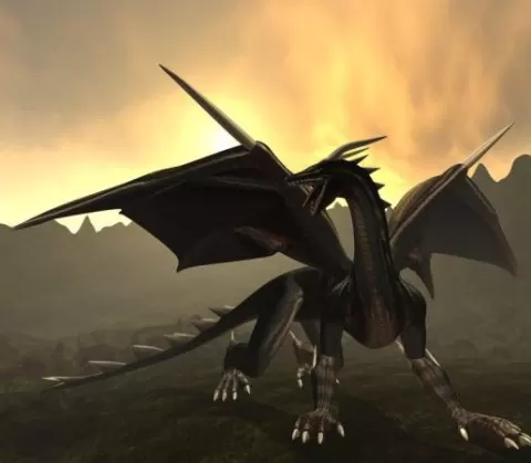 Black Dragon