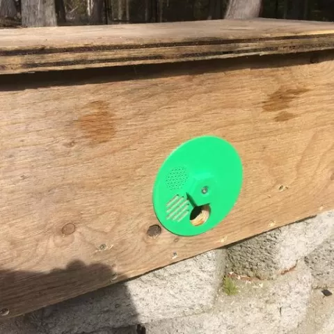 Adjustable Beehive entrance