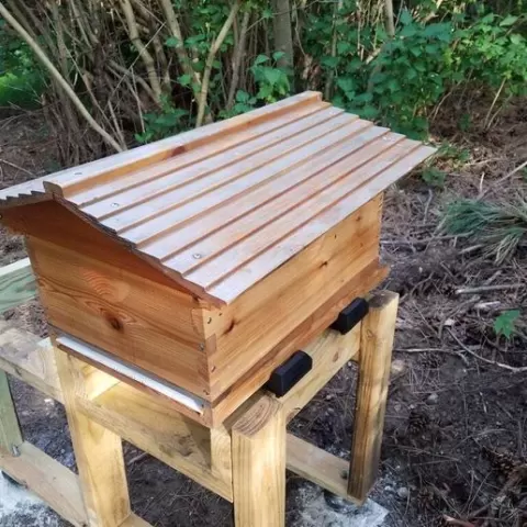 Ant Barrier For Beehives