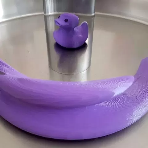 Anamorphic Rubber Duck