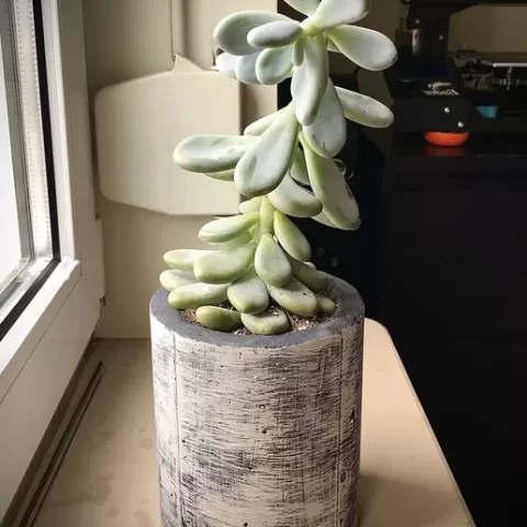 Planter Pot