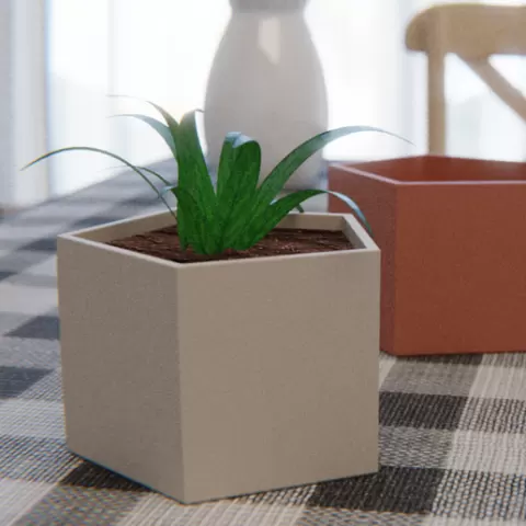 Little Pentagon Planter