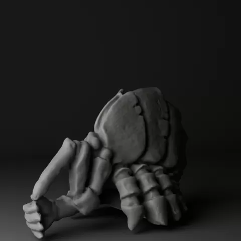 Thune Support by Faceless Publishing
