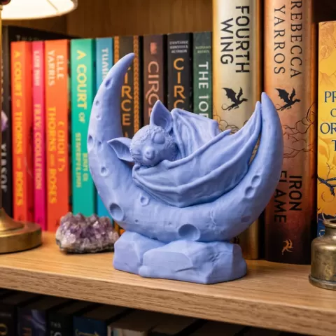 The Lunar Nesting Bat 💤🌕