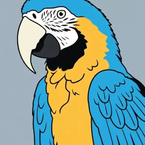 Blue and gold Macaw light box