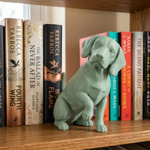 Border Collie - Bookend 📚🐕