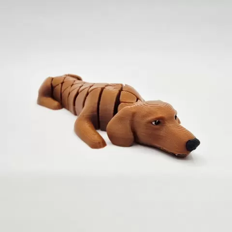 Flexi Dachshund by Fillifuu