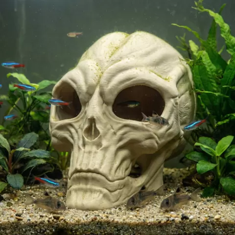 Realistic Alien Skull Aquarium Decor, Digital Download STL, Fish Tank Hideout, Creepy Terrarium Cave