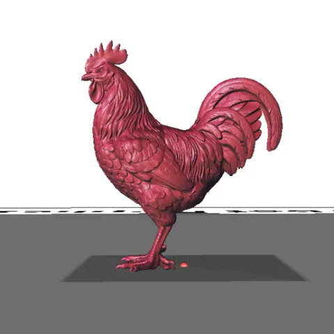 GALLO rhode island