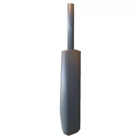 Professional Cricket Bat