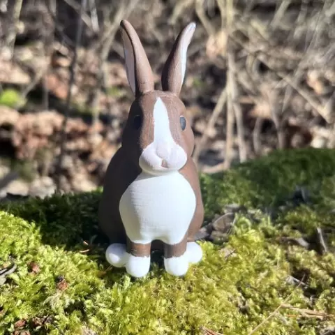 Cute Easter Bunny