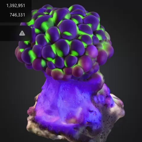 Yellow Bubble Coral - 3D Printable Reef Decor