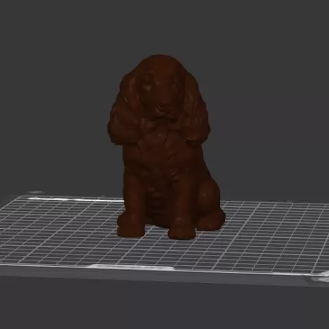Dog Cocker