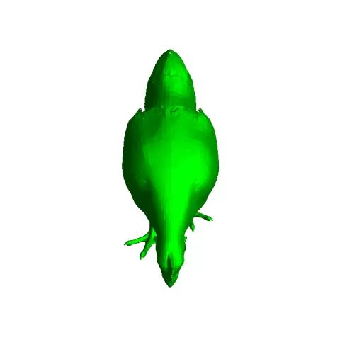 chicken - Elmatador4776
