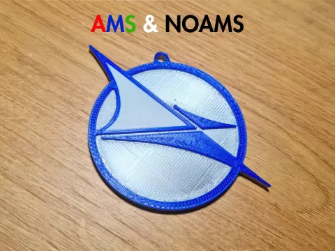 MDM Keychain Logo |AMS & NOAMS