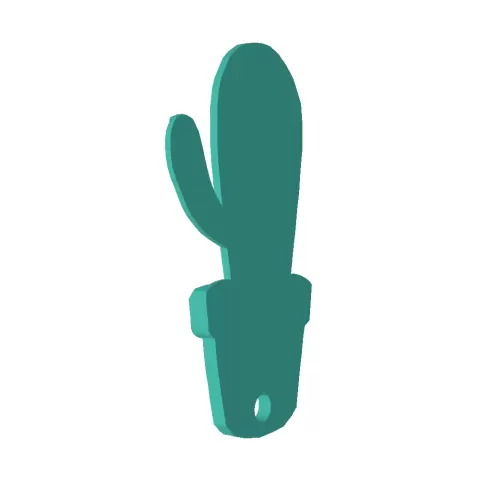 Cactus keyring - McNole