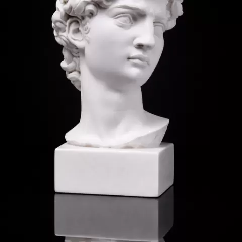 David bust