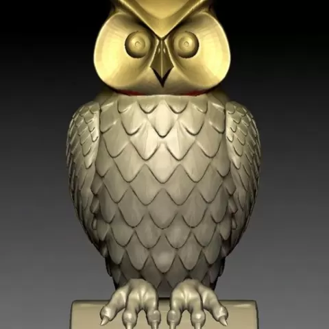 owl