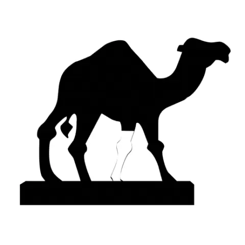 Walking Desert Camel Silhouette