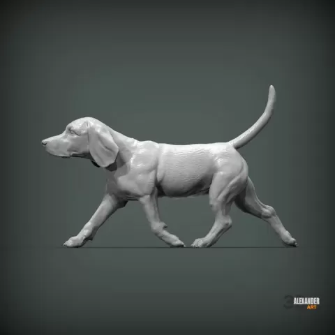 beagle runs by Alexander3dart