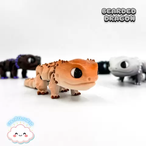 Bearded Dragon