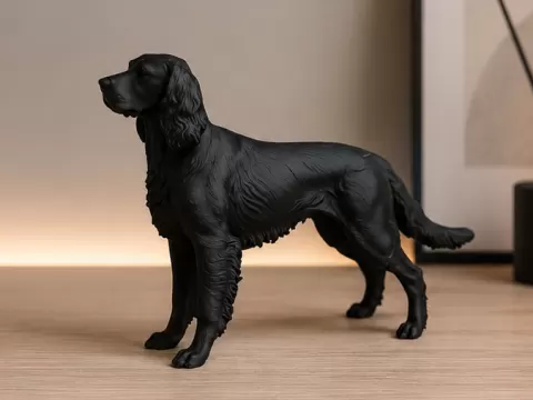 Gordon Setter - Dog - Animal - Decor