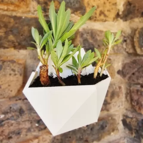 planter 16.5cmx14.5cm