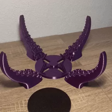 ARTICULATED SELF ADJUSTING TENTACLE COASTER