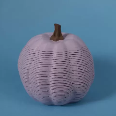 Pumpkin Springo A (2 sizes)