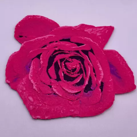 HueForge Rose