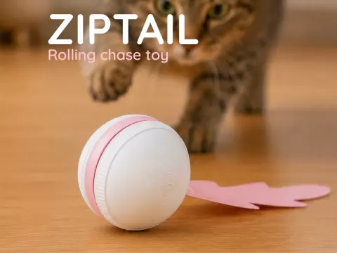 ZIPTAIL – Rolling Chase Toy