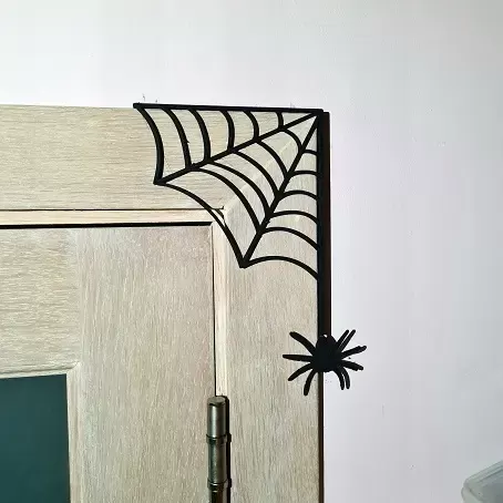 Spider cobweb door