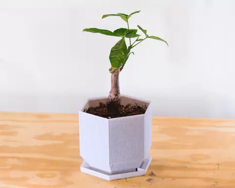 hexagonal planter v2 (vase mode)
