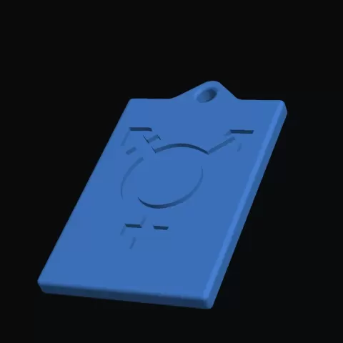 Transgender (Symbol maybe outdated) keyring - RL3DP