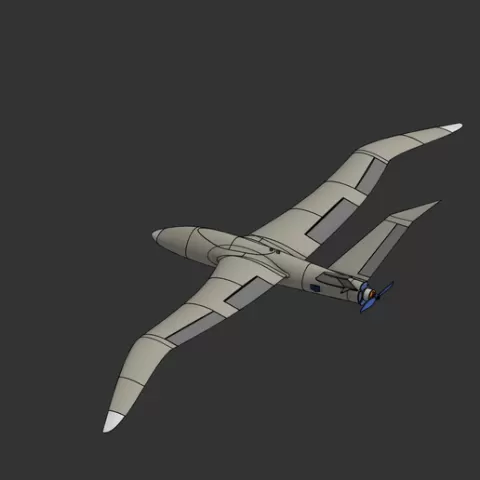 Storm-gull rc plane